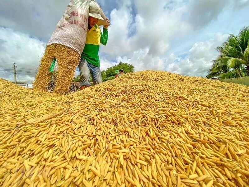 điểm tin thị trường, dầu WTI, dầu Brent, năng lượng toàn cầu, cà phê robusta, lúa mì, đường, thép, hàng hóa phái sinh, Edu Trade