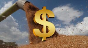 lúa mì, giá lúa mì CBOT, USDA, ngô, đậu tương, nông sản, hàng hóa phái sinh, dầu Brent, dầu WTI, Edu Trade