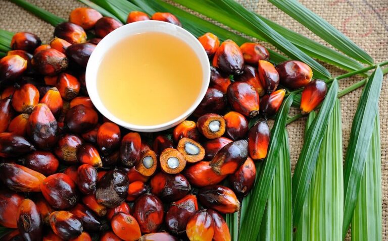 Theo các nhà phân tích tại Oil World (Đức), nhu cầu trong nước ngày càng tăng đối với nhiên liệu sinh học, các hạn chế xuất khẩu và dự báo năng suất hàng năm trên mỗi hecta sẽ làm giảm khả năng cạnh tranh của dầu cọ trên thị trường toàn cầu. Điều này cũng sẽ được giảm thiểu hơn nữa nhờ việc nối lại nguồn cung dầu đậu nành từ Argentina và nguồn cung dầu hướng dương từ Argentina, Nga, Bulgaria và Ukraine.