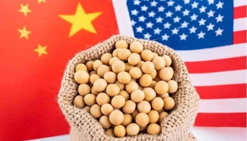 Theo số liệu từ Oil World (Đức), tổng lượng xuất khẩu đậu nành từ Mỹ và Brazil sang Trung Quốc trong giai đoạn tháng 1 đến tháng 4 năm 2026 đã tăng 3,5 triệu tấn (+10%) so với cùng kỳ năm ngoái, đạt mức kỷ lục 37 triệu tấn, vượt xa mức trung bình của cùng kỳ trong 5 năm qua (32,9 triệu tấn).
Sau các thỏa thuận mua bán đạt được vào cuối năm 2025, Trung Quốc đã tăng thị phần nhập khẩu đậu nành từ Mỹ lên 55%, so với 41% trong giai đoạn tháng 1-4 năm 2025. Đồng thời, thị phần đậu nành Brazil trong nhập khẩu của Trung Quốc giảm từ 74% xuống còn 69%.
Cụ thể, xuất khẩu đậu nành của Mỹ tăng lên 3,05 triệu tấn trong tháng 4 (2,18 triệu tấn trong tháng 4 năm 2025), trong đó 1,56 triệu tấn (0,54 triệu tấn) được vận chuyển đến Trung Quốc. Kể từ đầu niên vụ 2025/26, Hoa Kỳ đã xuất khẩu 34,04 triệu tấn đậu nành, so với 44,08 triệu tấn trong giai đoạn tháng 9 đến tháng 4 năm 2024/25, trong đó 10,78 triệu tấn (22,49 triệu tấn) được xuất sang Trung Quốc.