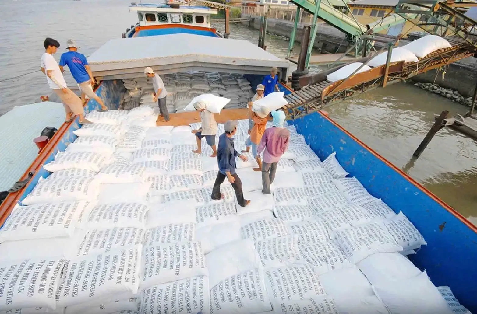 gạo Việt Nam, xuất khẩu gạo, Philippines nhập khẩu gạo, giá gạo thế giới, thị trường gạo, gạo chất lượng cao, nông sản, giao dịch hàng hóa, lúa gạo Việt Nam, Edu Trade, đầu tư nông sản, giá gạo hôm nay, xuất khẩu nông sản, thị trường lương thực, gạo châu Á.