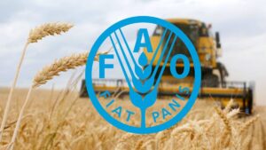 lúa mì, ngô, đậu tương, khô đậu tương, ngũ cốc thế giới, FAO, sản lượng ngũ cốc toàn cầu, giá lúa mì, giá ngô, thị trường nông sản, nông sản phái sinh, El Nino, xuất khẩu ngũ cốc, Edu Trade, hàng hóa phái sinh.