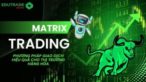 Giao dịch Matrix là gì? Phương pháp quản trị rủi ro nâng cao trong thị trường hàng hóa phái sinh