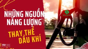 Những nguồn năng lượng thay thế chính cho dầu khí là gì?