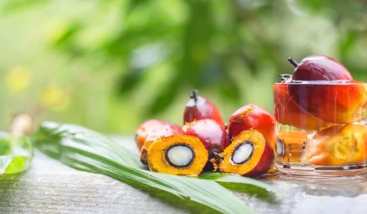 dầu cọ, giá dầu cọ Malaysia, dầu cọ Malaysia, dầu đậu tương, giá dầu đậu tương, dầu thực vật, nông sản thế giới, biodiesel, giá dầu cọ hôm nay, thị trường dầu thực vật, đậu tương, hàng hóa phái sinh, Edu Trade, giao dịch nông sản, giá nông sản thế giới.