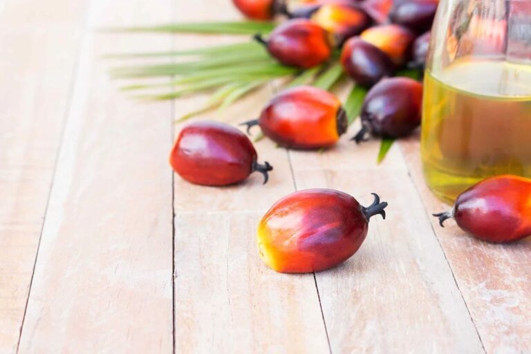 dầu cọ, giá dầu cọ, dầu thực vật, dầu đậu tương, đậu tương, khô đậu tương, biodiesel, Indonesia, Malaysia, thị trường nông sản, giao dịch hàng hóa phái sinh, Edu Trade, giá hàng hóa, nguyên liệu công nghiệp, dầu Brent, dầu WTI