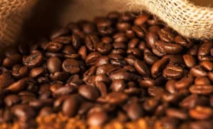 Robusta trading